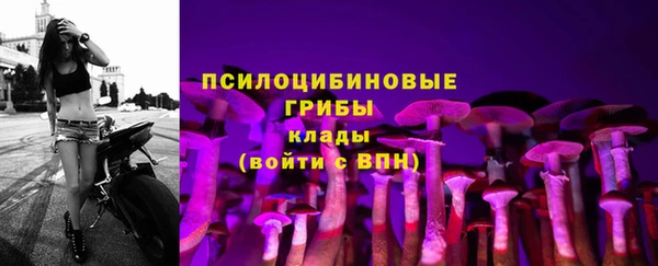 метадон Ладушкин