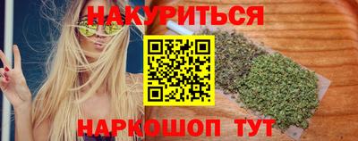 гашик Ливны