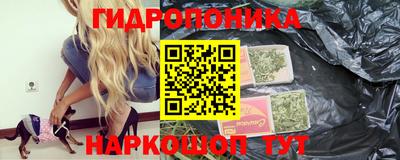 гашик Ливны