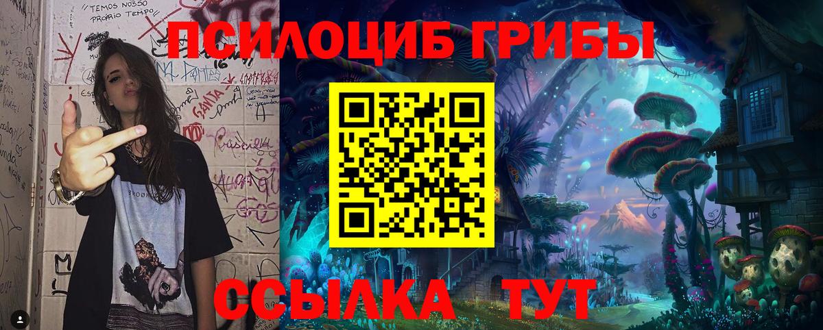 Липецк  цена   Вход с VPN  Галлюциногенные грибы Psilocybine cubensis 