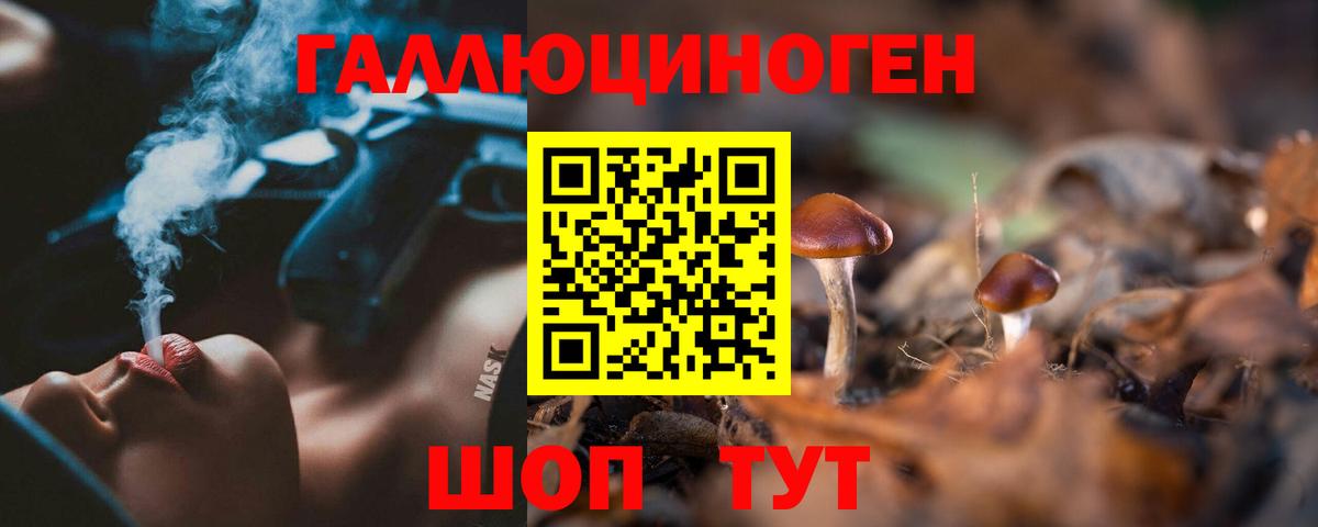 Псилоцибиновые грибы мицелий Липецк